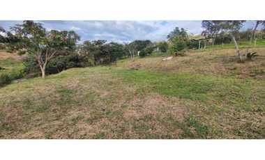 Venta de lote de 3200 M2 en 768 millones en La Mesa Cund