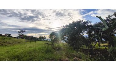 Venta de lote de 3200 M2 en 768 millones en La Mesa Cund