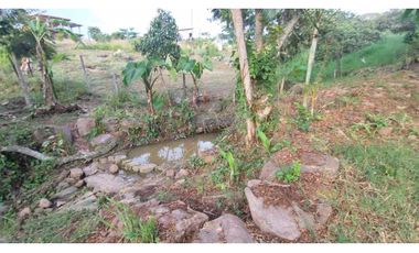 Venta de lote de 3200 M2 en 768 millones en La Mesa Cund