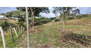 Venta de lote de 3200 M2 en 768 millones en La Mesa Cund