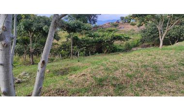 Venta de lote de 3200 M2 en 768 millones en La Mesa Cund