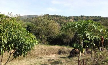Venta de finca de 1 hectárea de 450 mill en Tocaima Cund, COL