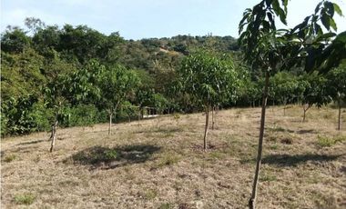 Venta de finca de 1 hectárea de 450 mill en Tocaima Cund, COL