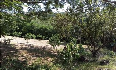 Venta de finca de 1 hectárea de 450 mill en Tocaima Cund, COL