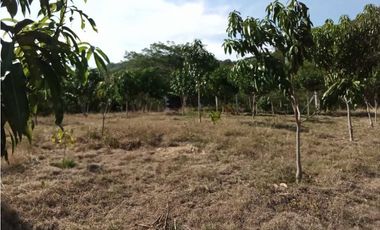 Venta de finca de 1 hectárea de 450 mill en Tocaima Cund, COL