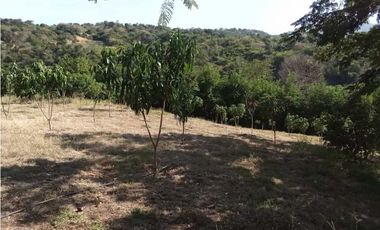 Venta de finca de 1 hectárea de 450 mill en Tocaima Cund, COL