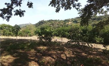 Venta de finca de 1 hectárea de 450 mill en Tocaima Cund, COL