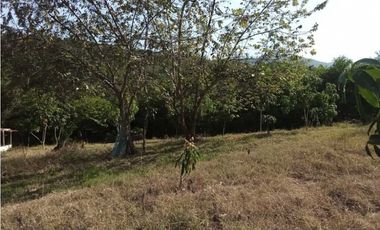 Venta de finca de 1 hectárea de 450 mill en Tocaima Cund, COL