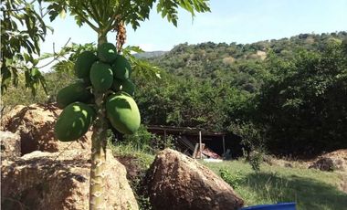 Venta de finca de 1 hectárea de 450 mill en Tocaima Cund, COL