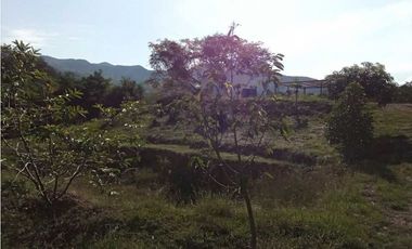 Venta de finca de 1 hectárea de 450 mill en Tocaima Cund, COL