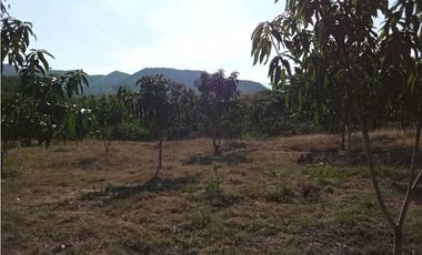 Venta de finca de 1 hectárea de 450 mill en Tocaima Cund, COL