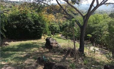 Venta de finca de 1 hectárea de 450 mill en Tocaima Cund, COL