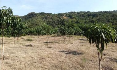 Venta de finca de 1 hectárea de 450 mill en Tocaima Cund, COL