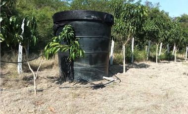 Venta de finca de 1 hectárea de 450 mill en Tocaima Cund, COL