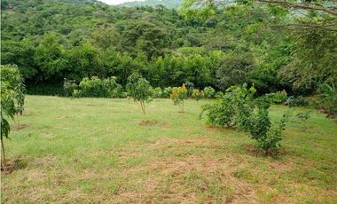 Venta de finca de 1 hectárea de 450 mill en Tocaima Cund, COL