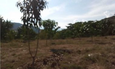 Venta de finca de 1 hectárea de 450 mill en Tocaima Cund, COL