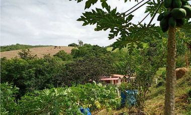 Venta de finca de 1 hectárea de 450 mill en Tocaima Cund, COL