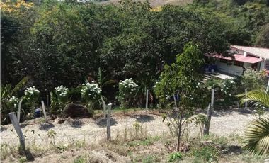 Venta de finca de 1 hectárea de 450 mill en Tocaima Cund, COL