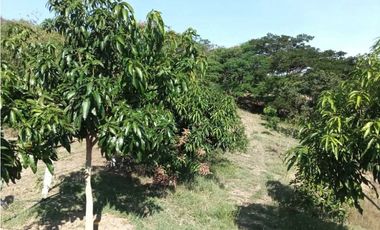 Venta de finca de 1 hectárea de 450 mill en Tocaima Cund, COL