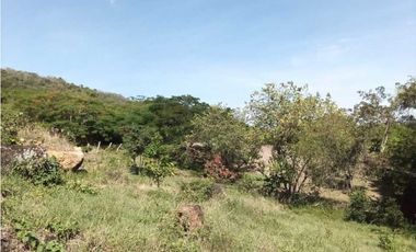 Venta de finca de 1 hectárea de 450 mill en Tocaima Cund, COL