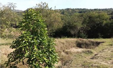 Venta de finca de 1 hectárea de 450 mill en Tocaima Cund, COL