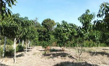 Venta de finca de 1 hectárea de 450 mill en Tocaima Cund, COL