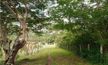 Venta de finca de 1 hectárea de 450 mill en Tocaima Cund, COL