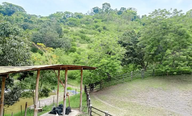 Finca de 1 hectárea con casa y piscina, en La Mesa Cund, COL