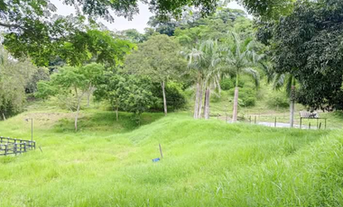 Finca de 1 hectárea con casa y piscina, en La Mesa Cund, COL