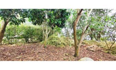 Venta de casalote de 1650 M2 en 680 mill en La Mesa Cund