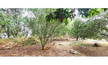 Venta de casalote de 1650 M2 en 680 mill en La Mesa Cund