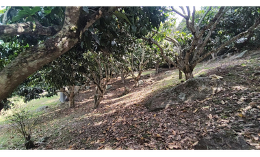 Se vende finca de 5200 M2 en 679 mill en La Mesa Cund, COL