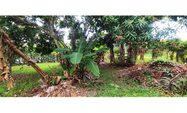 Venta de casa campestre de 1900 M2 en 729 mill en La Mesa Cund.