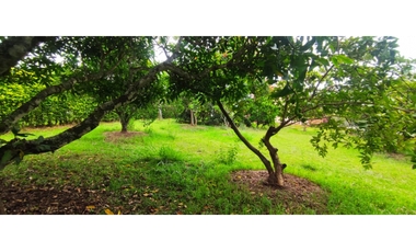 Venta de casa campestre de 1900 M2 en 729 mill en La Mesa Cund.