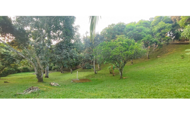 Venta de finca de 4754 M2 en 610 mill en La Mesa Cund.