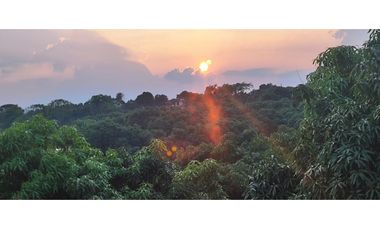 Venta de finca de 4754 M2 en 610 mill en La Mesa Cund.