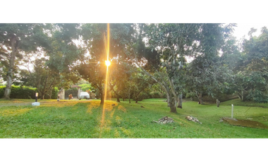 Venta de finca de 4754 M2 en 610 mill en La Mesa Cund.