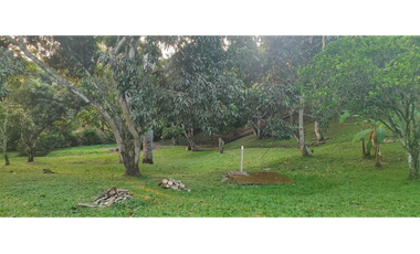 Venta de finca de 4754 M2 en 610 mill en La Mesa Cund.