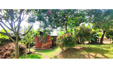 Venta de casalote de 543 M2 en 450 mill en La Mesa Cund, COL