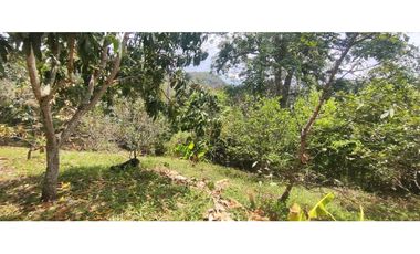 Espectacular lote de 3180 M2 en 270 mill en La Mesa Cund, Col