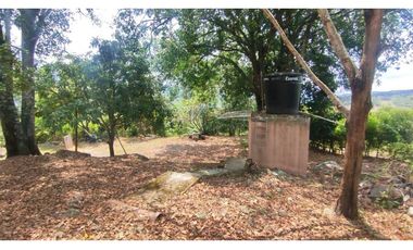 Espectacular lote de 3180 M2 en 270 mill en La Mesa Cund, Col