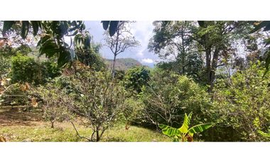 Espectacular lote de 3180 M2 en 270 mill en La Mesa Cund, Col