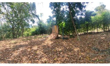 Espectacular lote de 3180 M2 en 270 mill en La Mesa Cund, Col