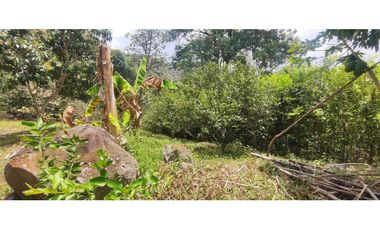 Espectacular lote de 3180 M2 en 270 mill en La Mesa Cund, Col