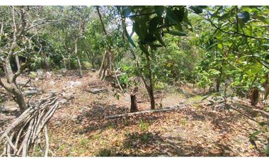 Espectacular lote de 3180 M2 en 270 mill en La Mesa Cund, Col