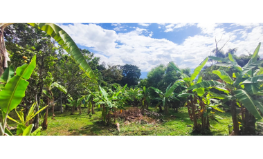 venta de lote de 600 M2 aprox en 135 mill negociables en La Mesa Cund