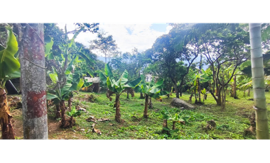 venta de lote de 600 M2 aprox en 135 mill negociables en La Mesa Cund