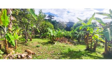 venta de lote de 600 M2 aprox en 135 mill negociables en La Mesa Cund