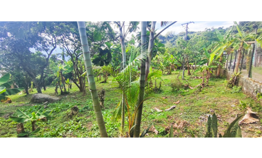 venta de lote de 600 M2 aprox en 135 mill negociables en La Mesa Cund