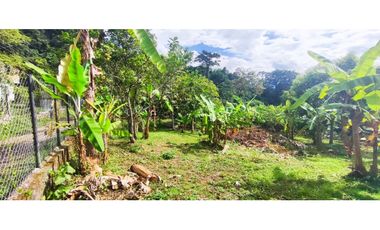 venta de lote de 600 M2 aprox en 135 mill negociables en La Mesa Cund